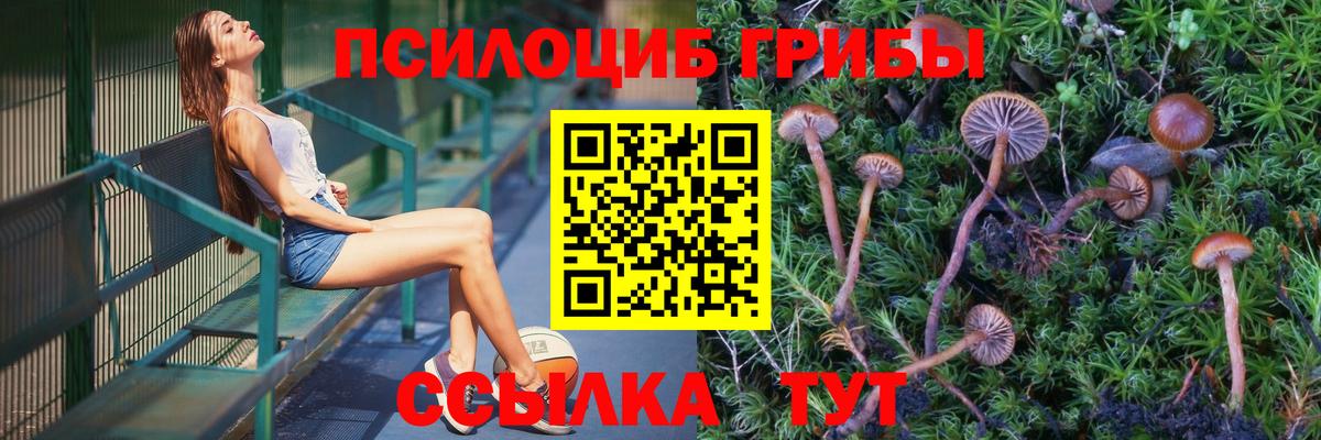 Галлюциногенные грибы прущие грибы Гагарин