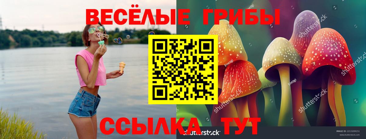 Галлюциногенные грибы прущие грибы  Галлюциногенные грибы прущие грибы  Вход с VPN  Гагарин 